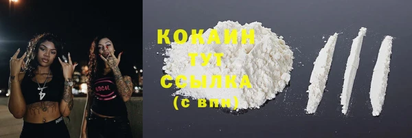 spice Арсеньев