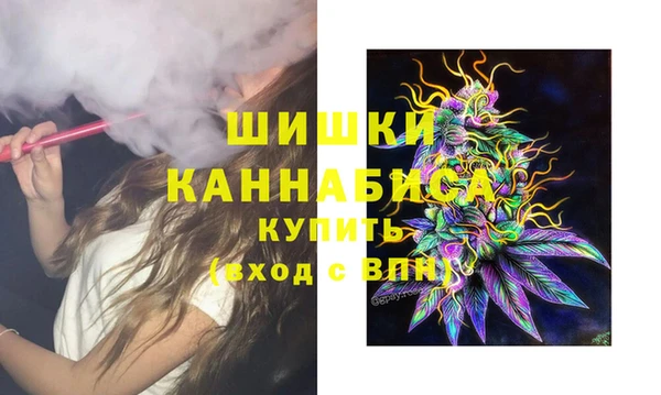 ECSTASY Армянск