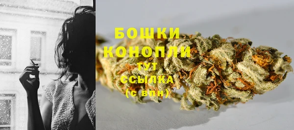 дживик Аркадак