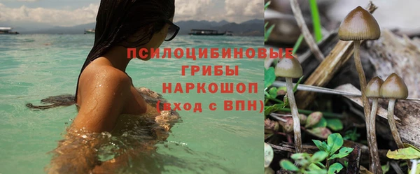 дживик Аркадак