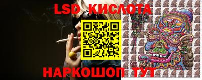 прущие грибы Краснокаменск