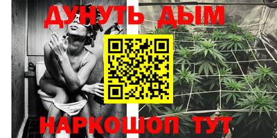 прущие грибы Краснокаменск