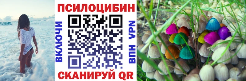 omg ТОР  Долгопрудный  darknet Telegram  Псилоцибиновые грибы Cubensis 